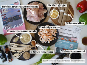 Yakitori Chicken & Soba